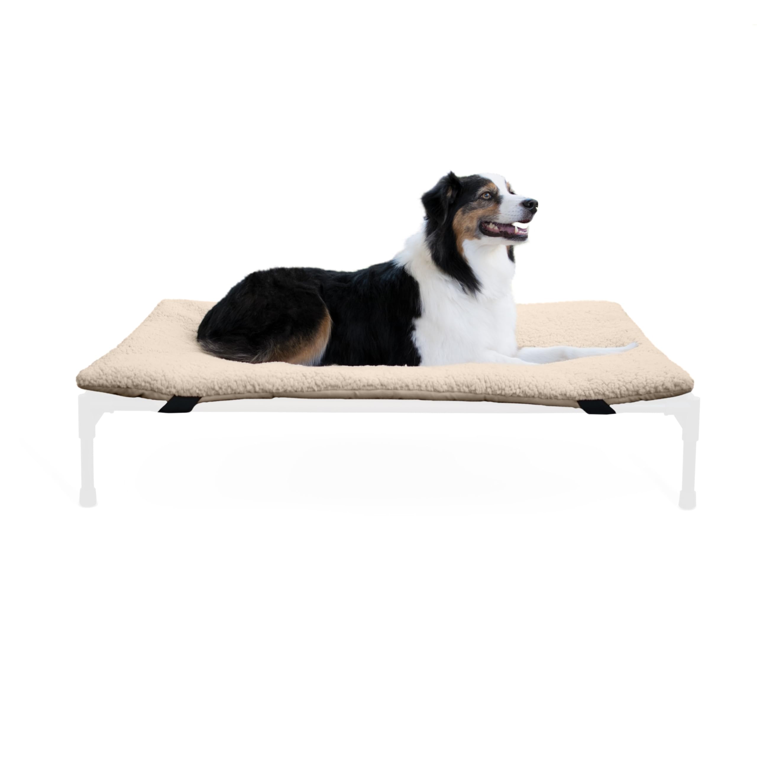 K&amp;H Pet Products dog cot pad pillow-top adds plush comfort to elevated beds.