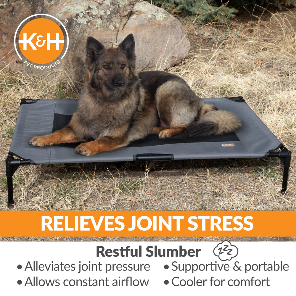 Strong metal frame supports large breed dogs on K&H cot