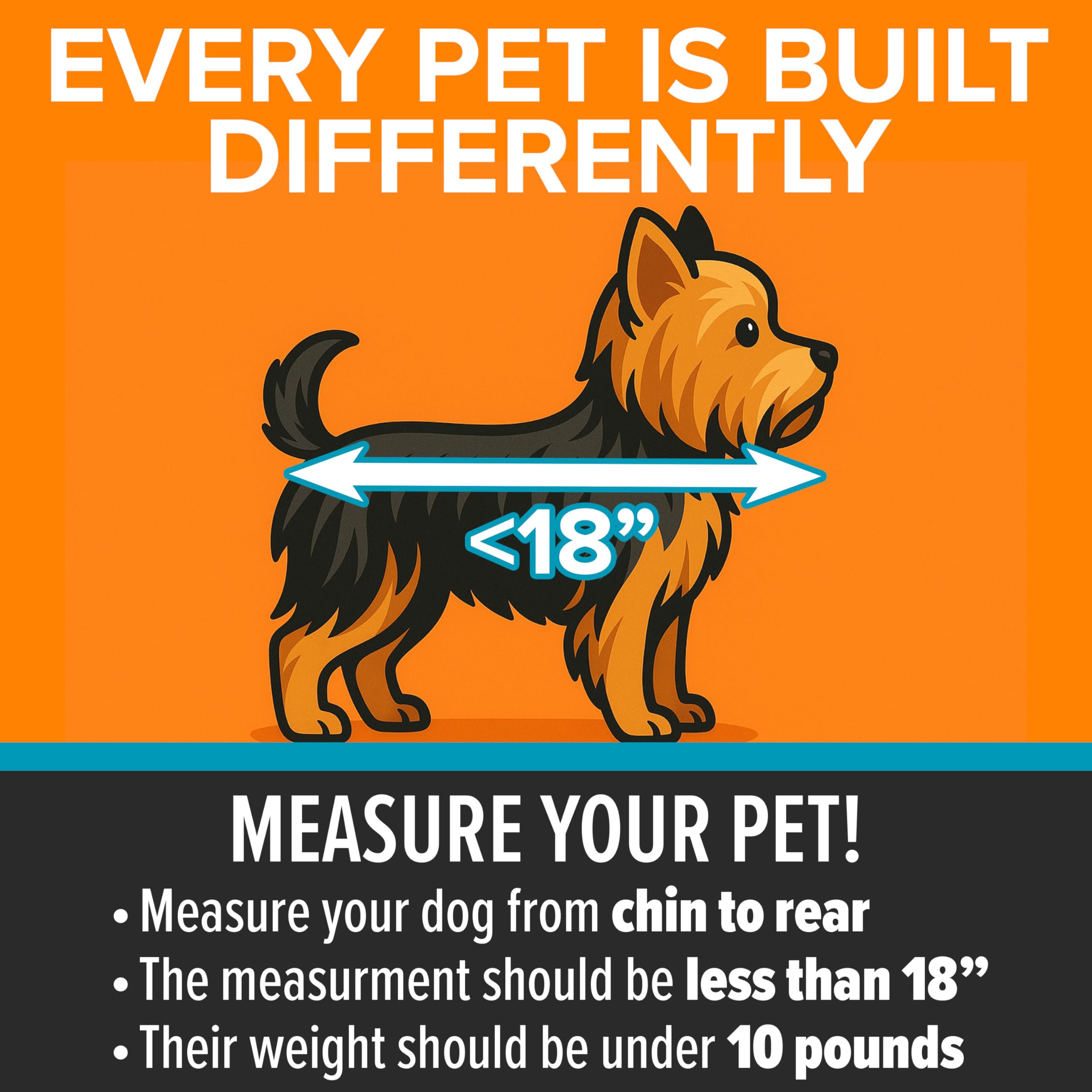 K&H Pet Products Travel Safety Carrier front door access for feeding and checks.