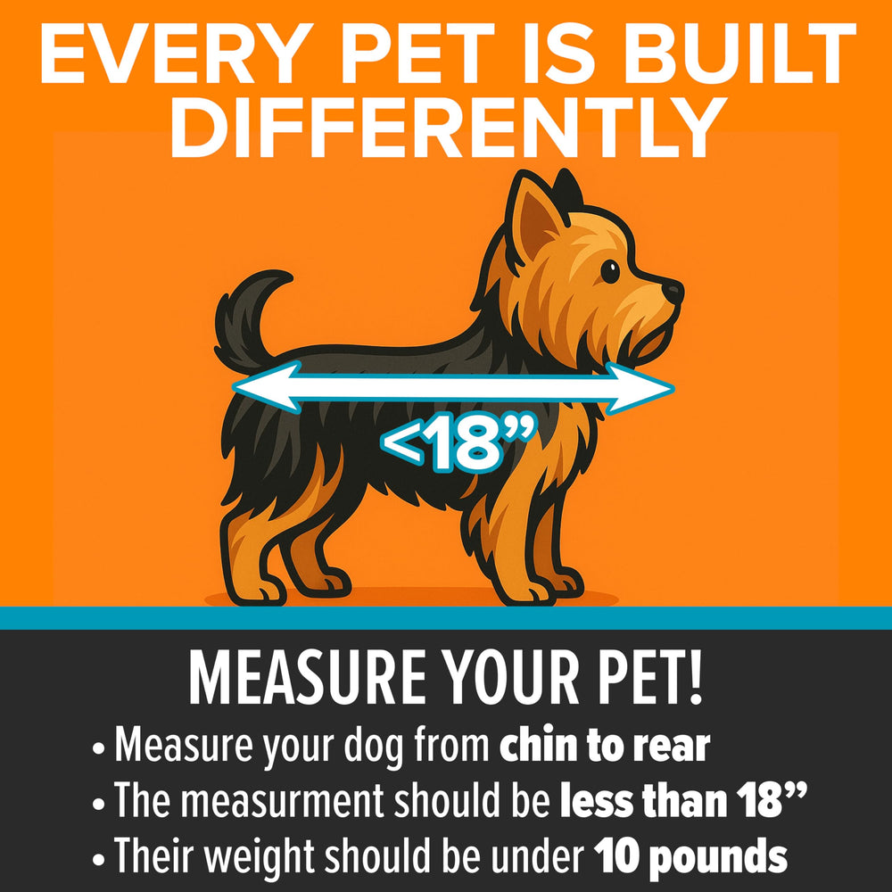 K&H Pet Products Travel Safety Carrier front door access for feeding and checks.