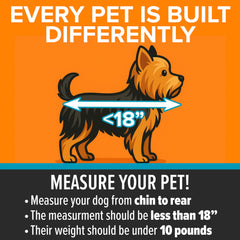 K&H Pet Products Travel Safety Carrier front door access for feeding and checks.