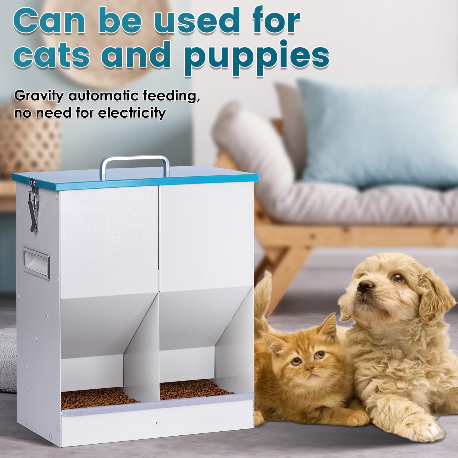 Easy refilling and simple maintenance for busy households.