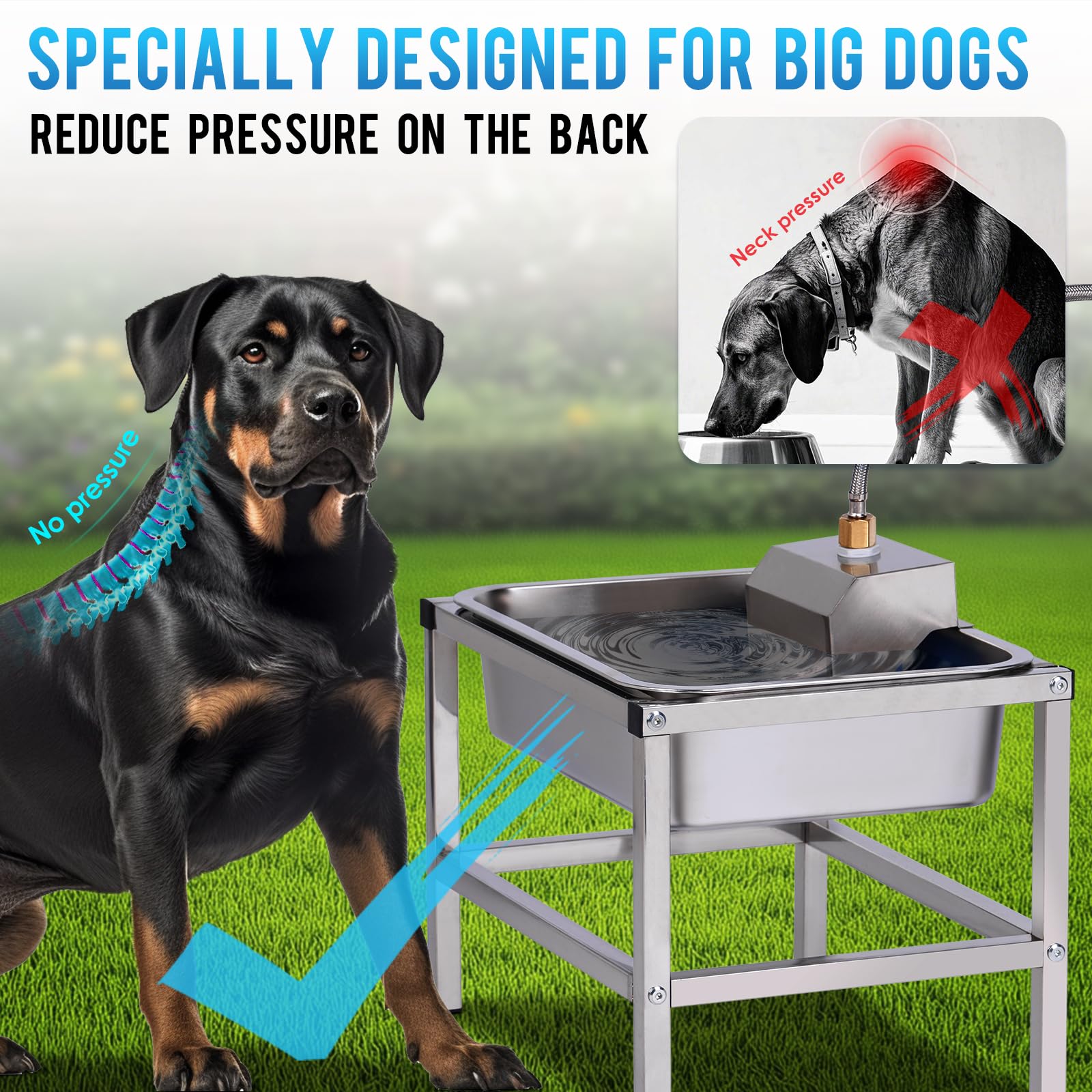 KHEARPSL elevated stand at 14 inches supports comfortable drinking.