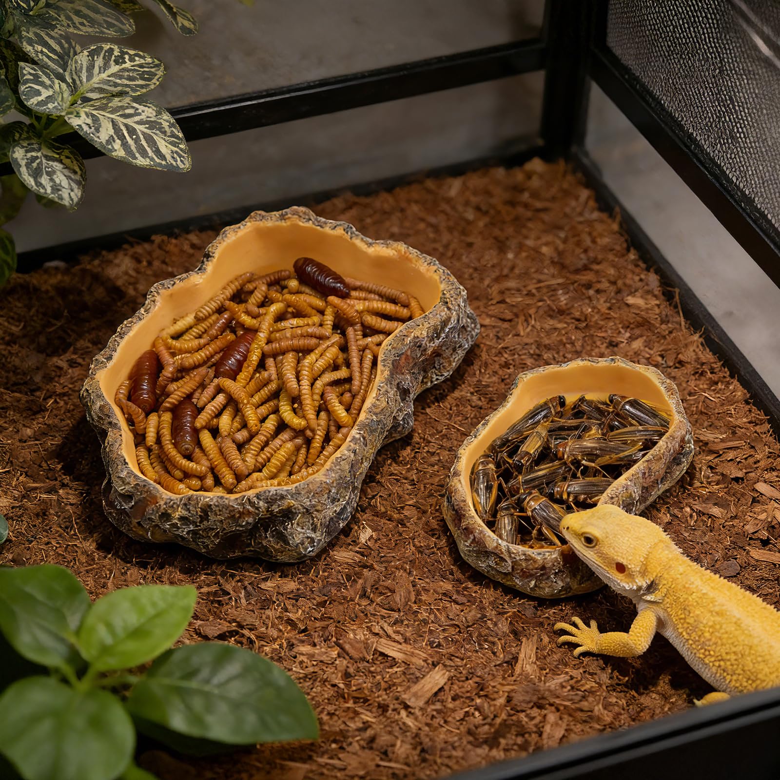 Kheprilat compatible with lizards, snakes, turtles, and amphibians