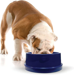 K&amp;H Coolin' dog water bowl setup with cooling core for outdoor use