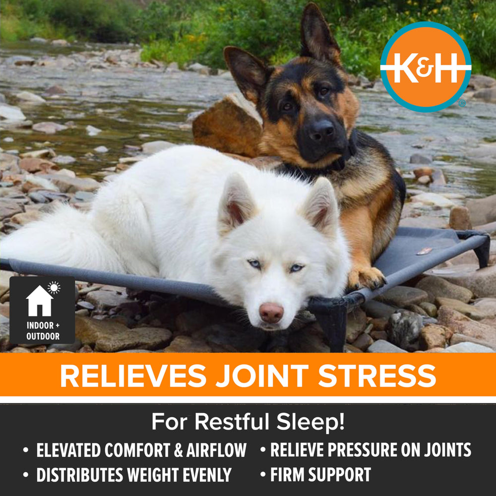 K&H heavy-duty metal frame provides sturdy support for large dogs