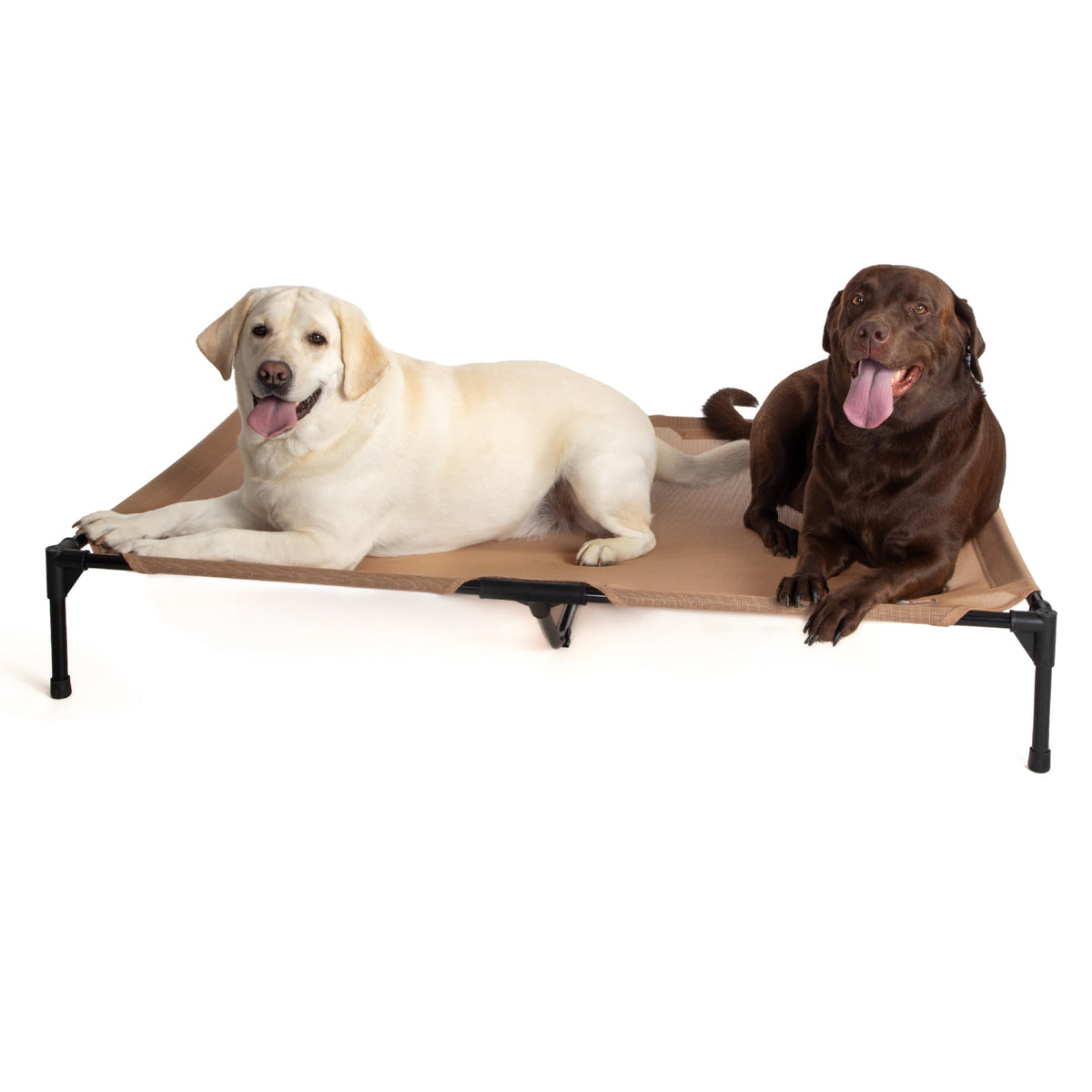 K&H Pet Products jumbo frame elevates giant dogs for cooling outdoors
