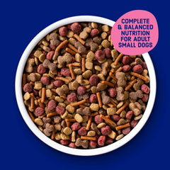 Kibbles 'n Bits beef and chicken flavor close-up showing bite-sized pieces.