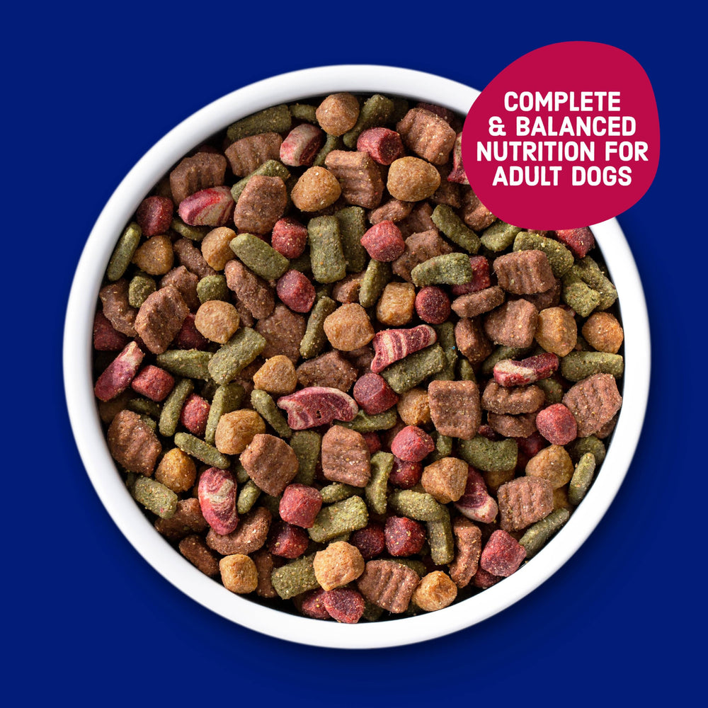 Kibbles 'n Bits Bistro adult dog meal serving demonstrates versatile portions for all sizes.