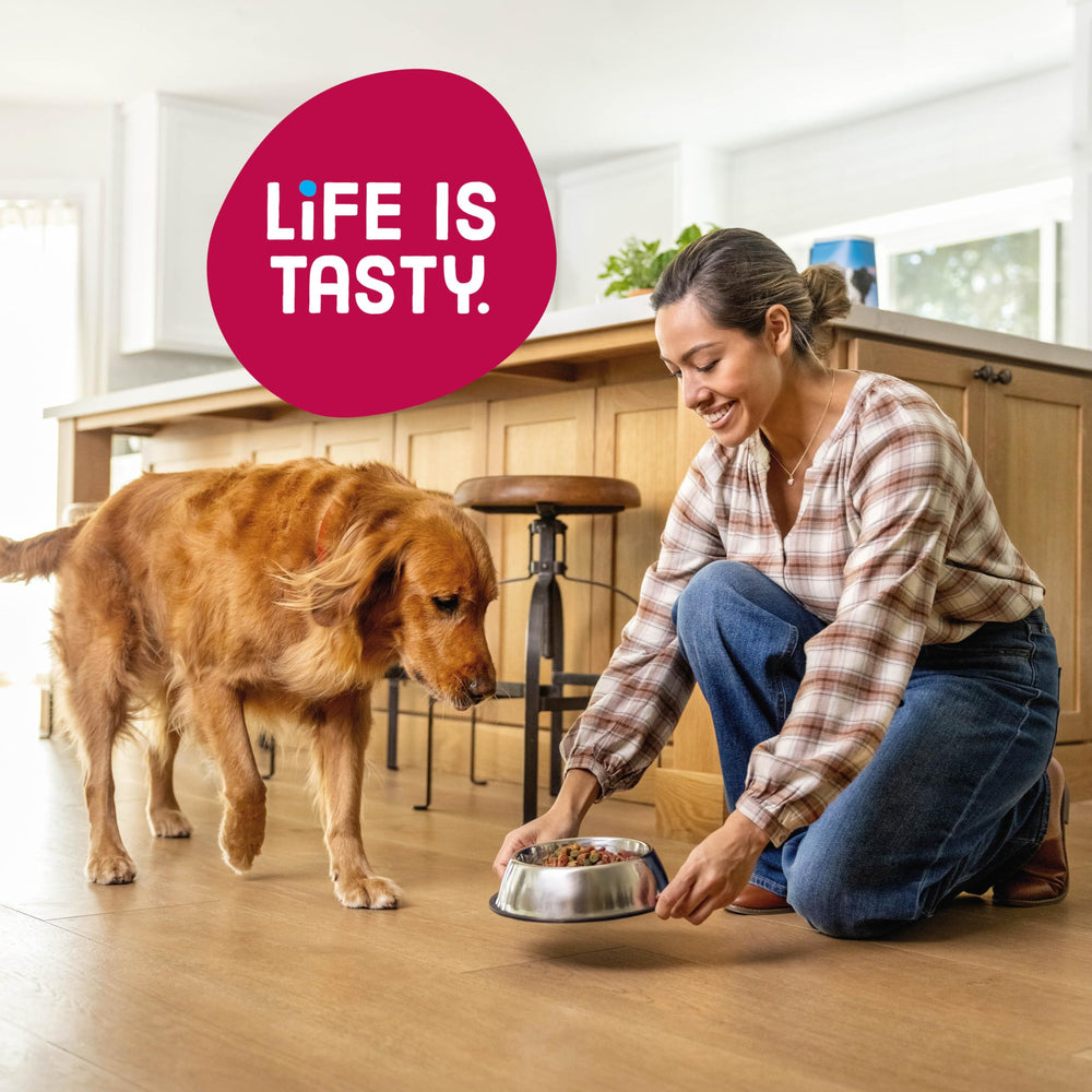 Kibbles 'n Bits Bistro packaging front suggests convenient four-pack for busy households.