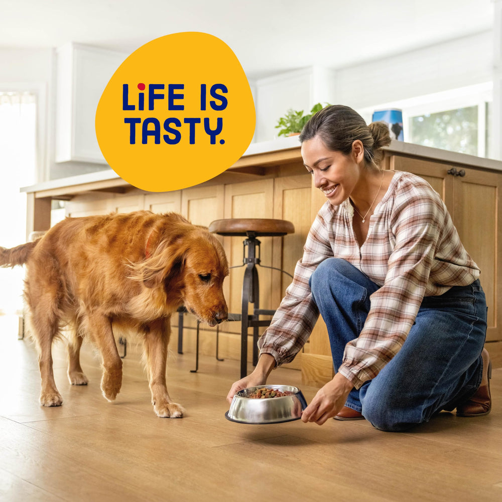 Kibbles 'n Bits Original antioxidant-rich formula visual.