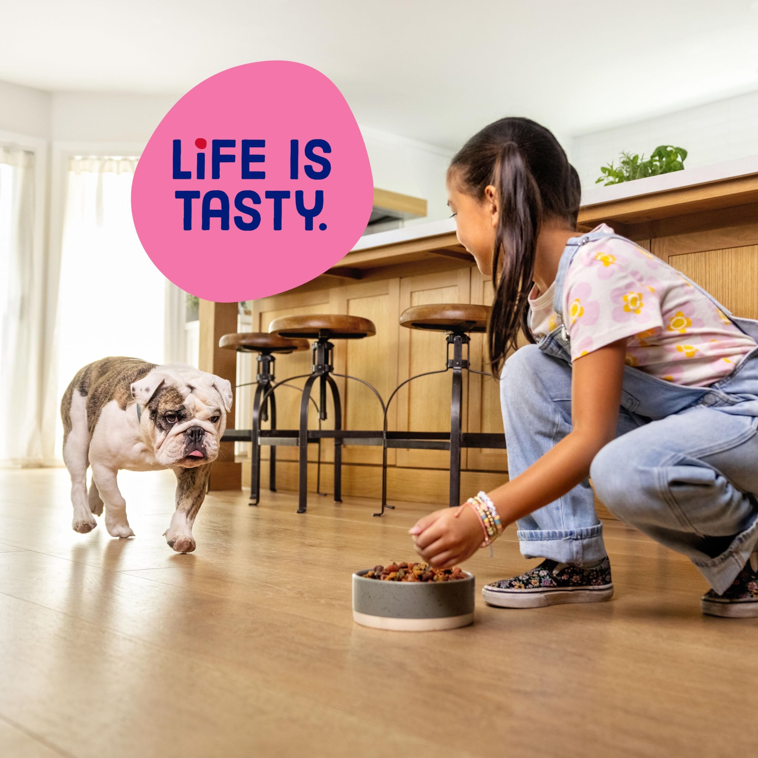 Small dog enjoying mealtime with Mini Bits.