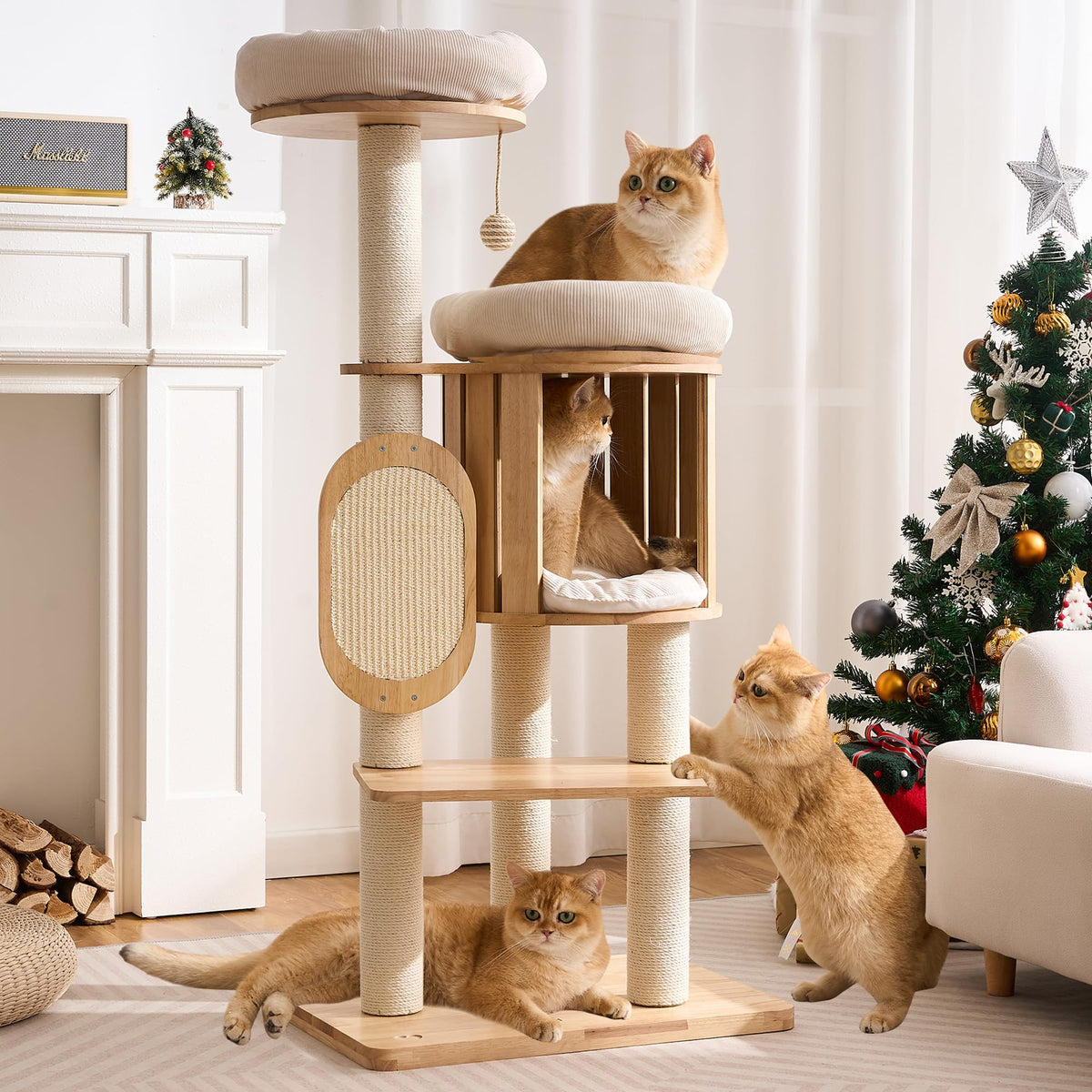 Kicari 50in cat tree platforms for active indoor cats and multi-cat homes.