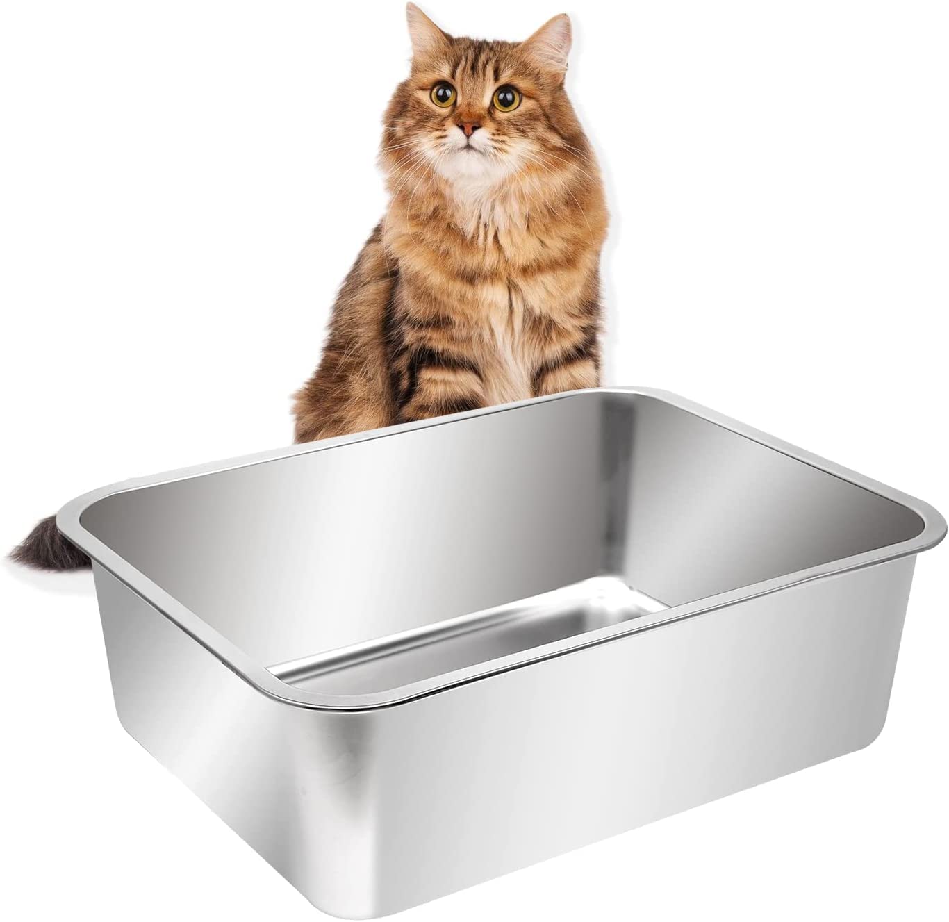 Kichwit large stainless steel litter box, top view, high sides help contain mess