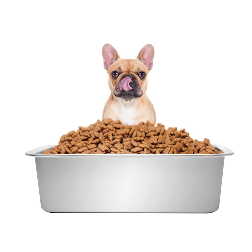 Kichwit ideal for multi-dog households with reliable durability.