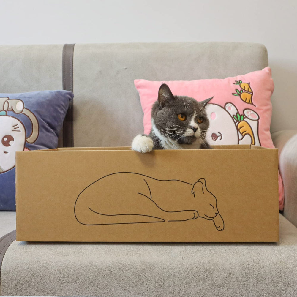 Kidding Pets includes catnip bags to boost playtime