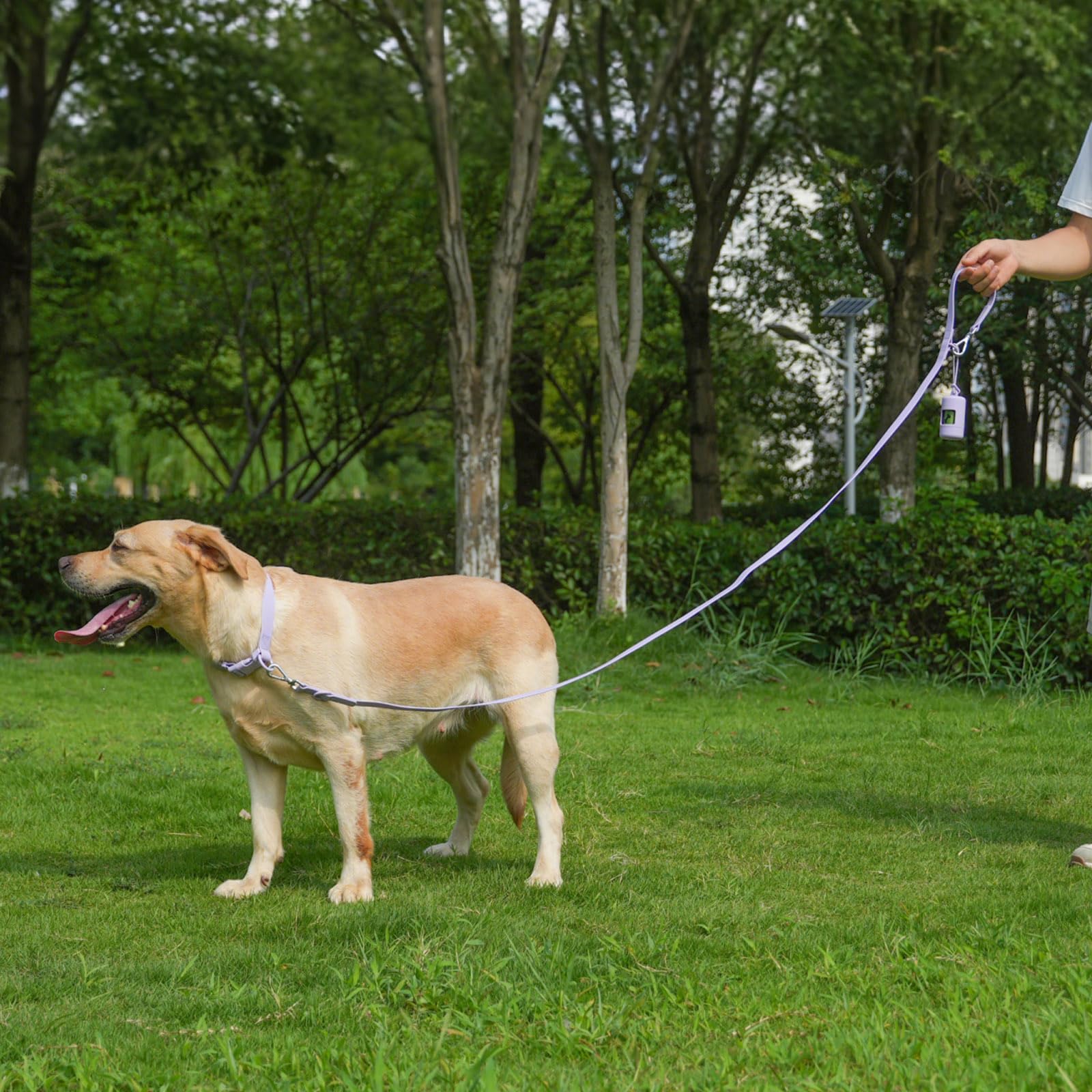 Kidding Pets Poop Bag Holder attached to leash for easy waste bag access