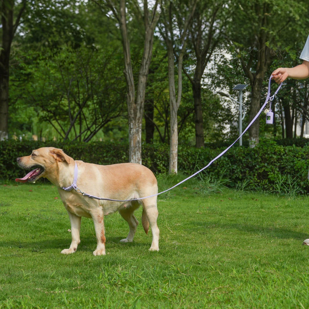 Kidding Pets Poop Bag Holder attached to leash for easy waste bag access