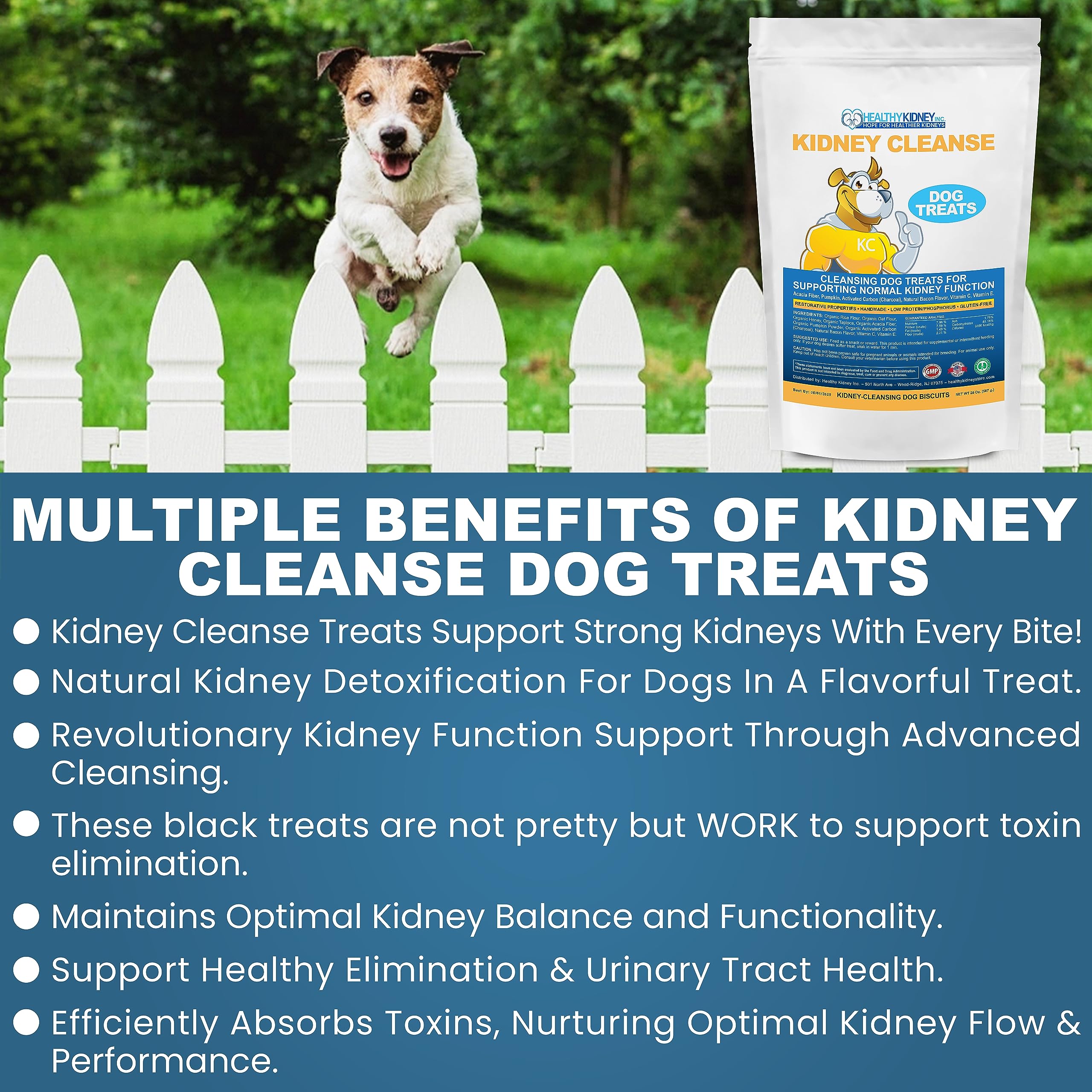Kidney Restore activated carbon close-up highlighting toxin elimination support.