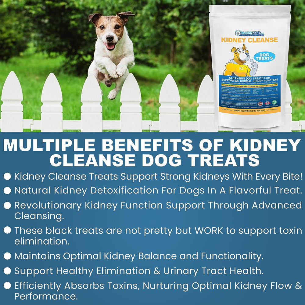 Kidney Restore activated carbon close-up highlighting toxin elimination support.