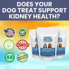 Dog enjoying a Kidney Restore treat illustrates a tasty, kidney-friendly snack.