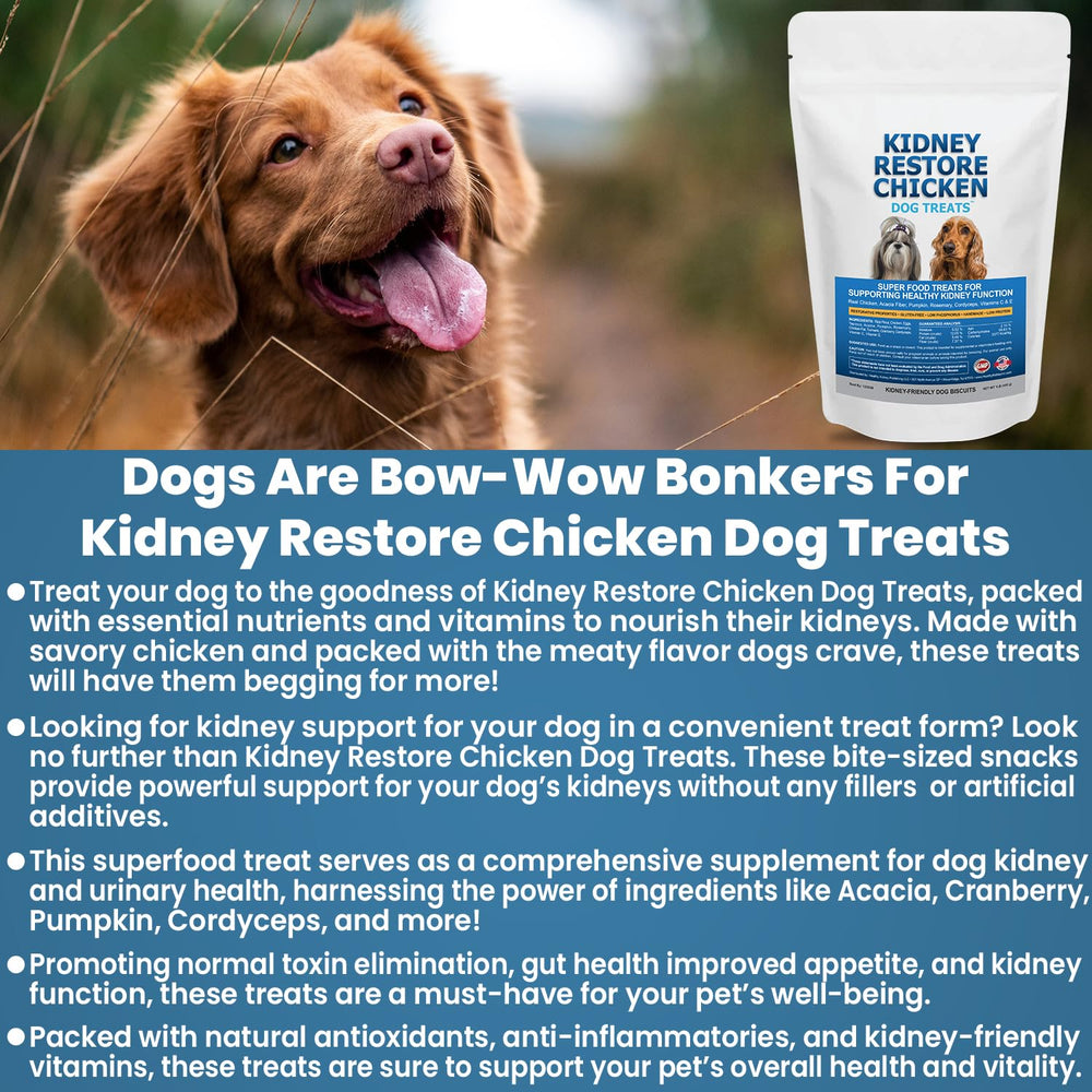 Label detail emphasizes antioxidants and vitamins for canine kidney care.