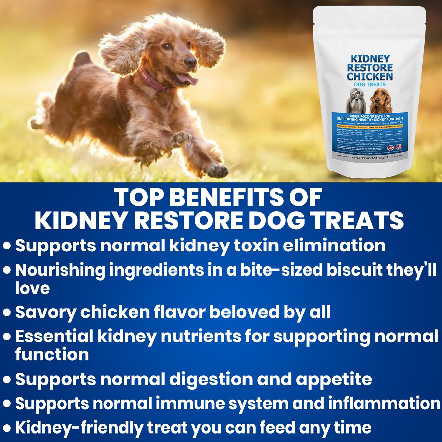 Treats arranged in a dish for mindful, kidney-friendly feeding.