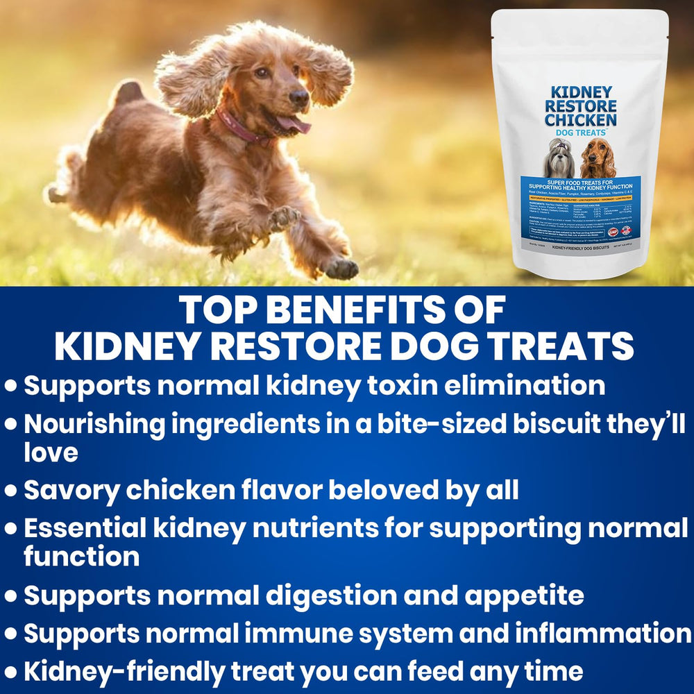 Treats arranged in a dish for mindful, kidney-friendly feeding.