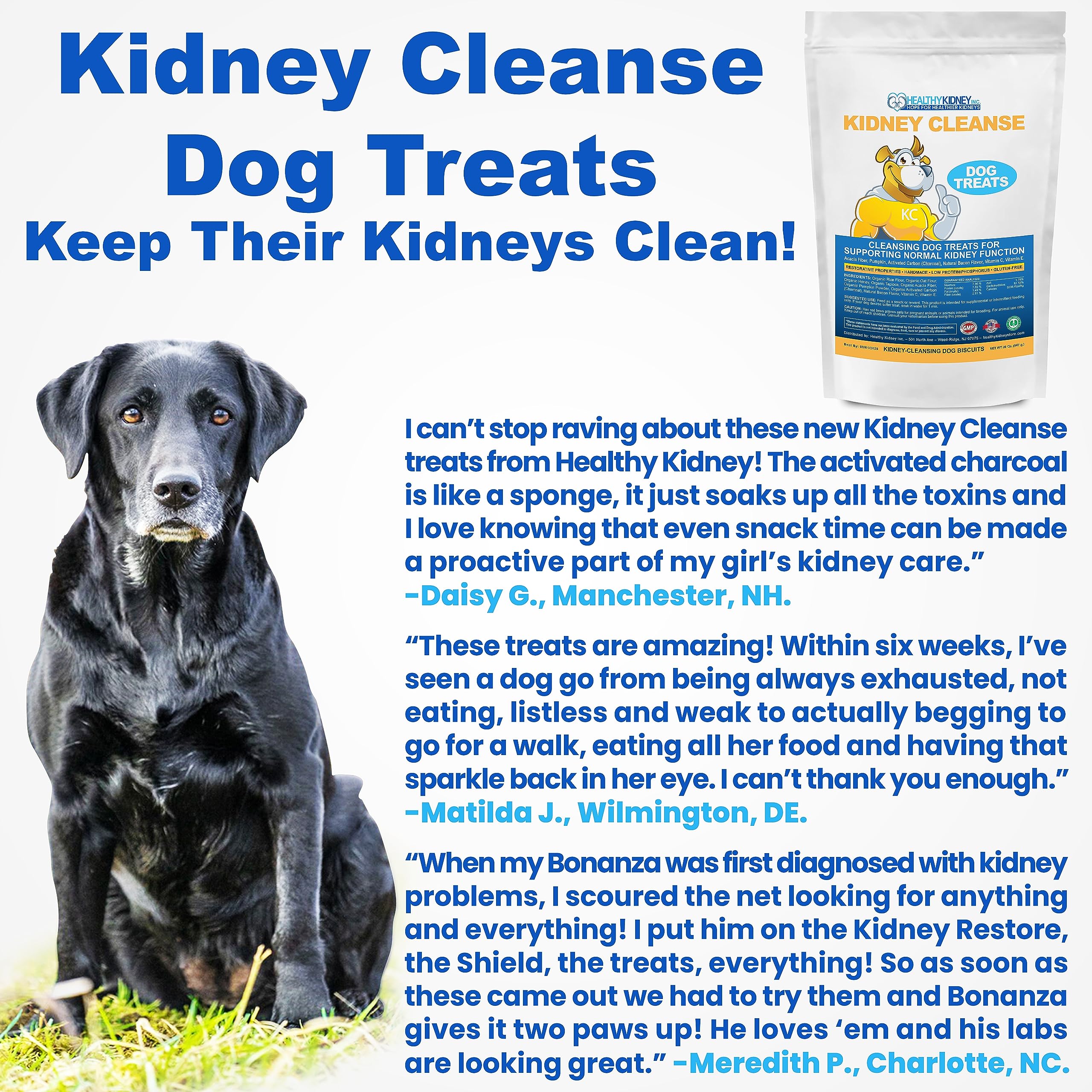 Kidney Restore free e-book card with tips for healthier kidneys.