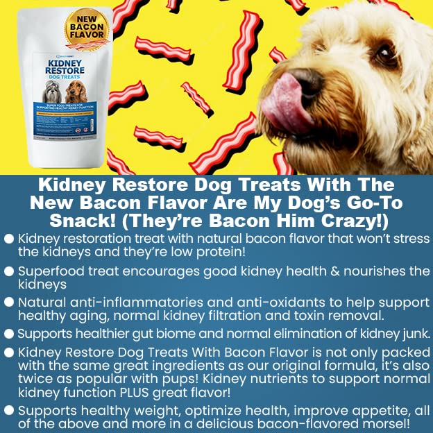 Kidney Restore ingredients close-up with turmeric and cranberries highlighting kidney-supporting herbs
