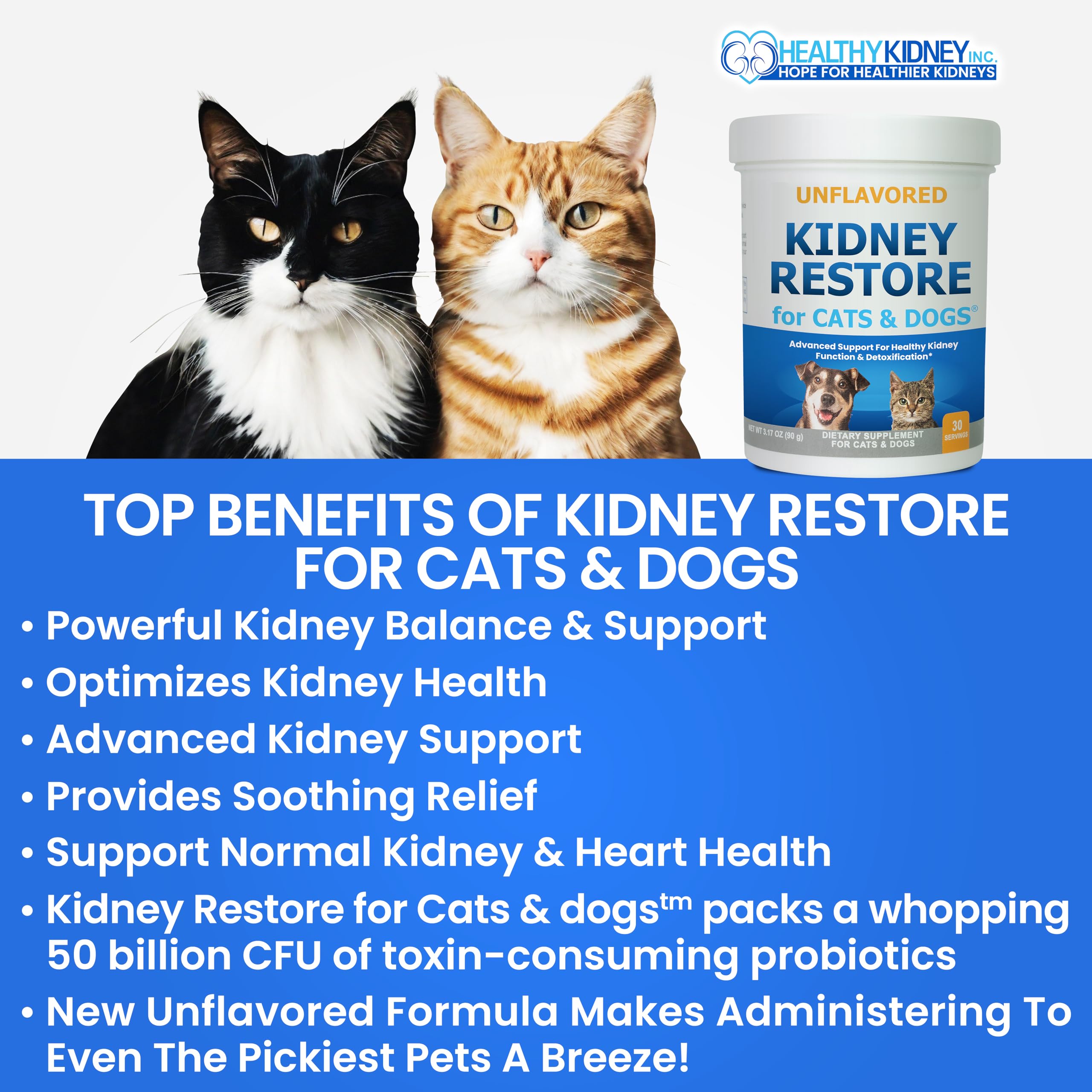 Kidney Restore powder dispensing into pet food for easy dosing