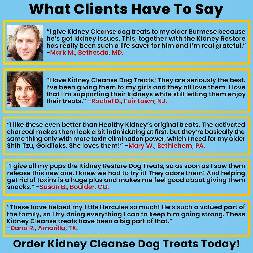 Kidney Restore vitamins C and E visual emphasizing immune support.
