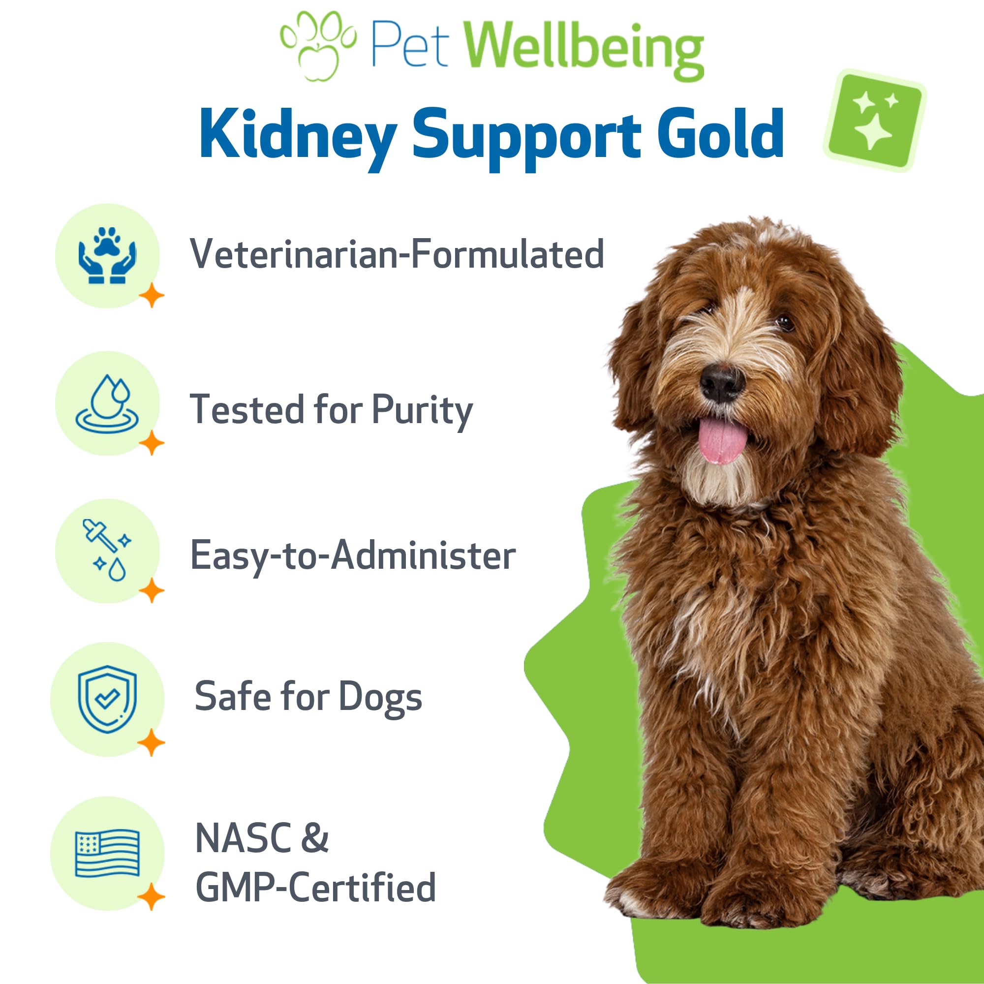 Kidney Support Gold ingredients—Rehmannia and Dong Quai—herbal supports.