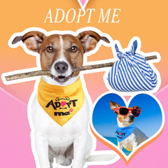 Kigeli washable triangle bandana for dogs and cats, easy care