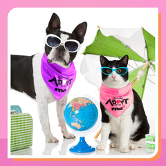 Kigeli 65x45 cm bandana for comfortable fit on most dogs