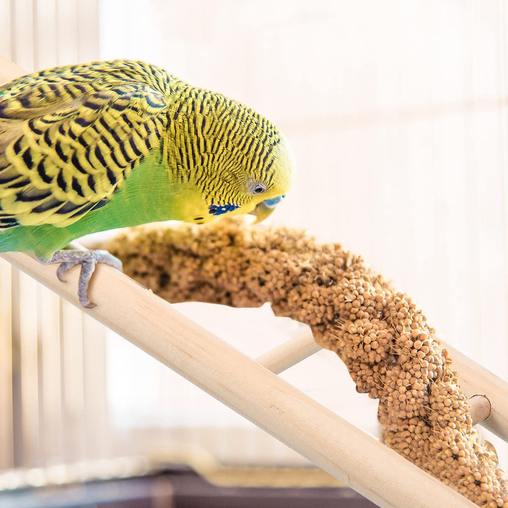 Kigeli wooden ladder kit makes a thoughtful gift for bird lovers.