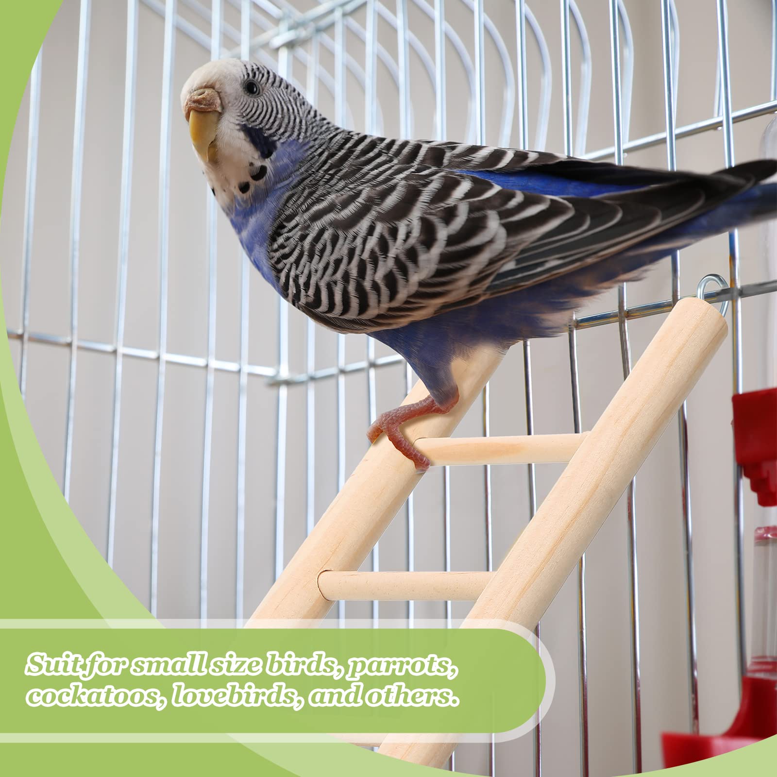 Kigeli six-piece ladder set elevates cage enrichment and play.