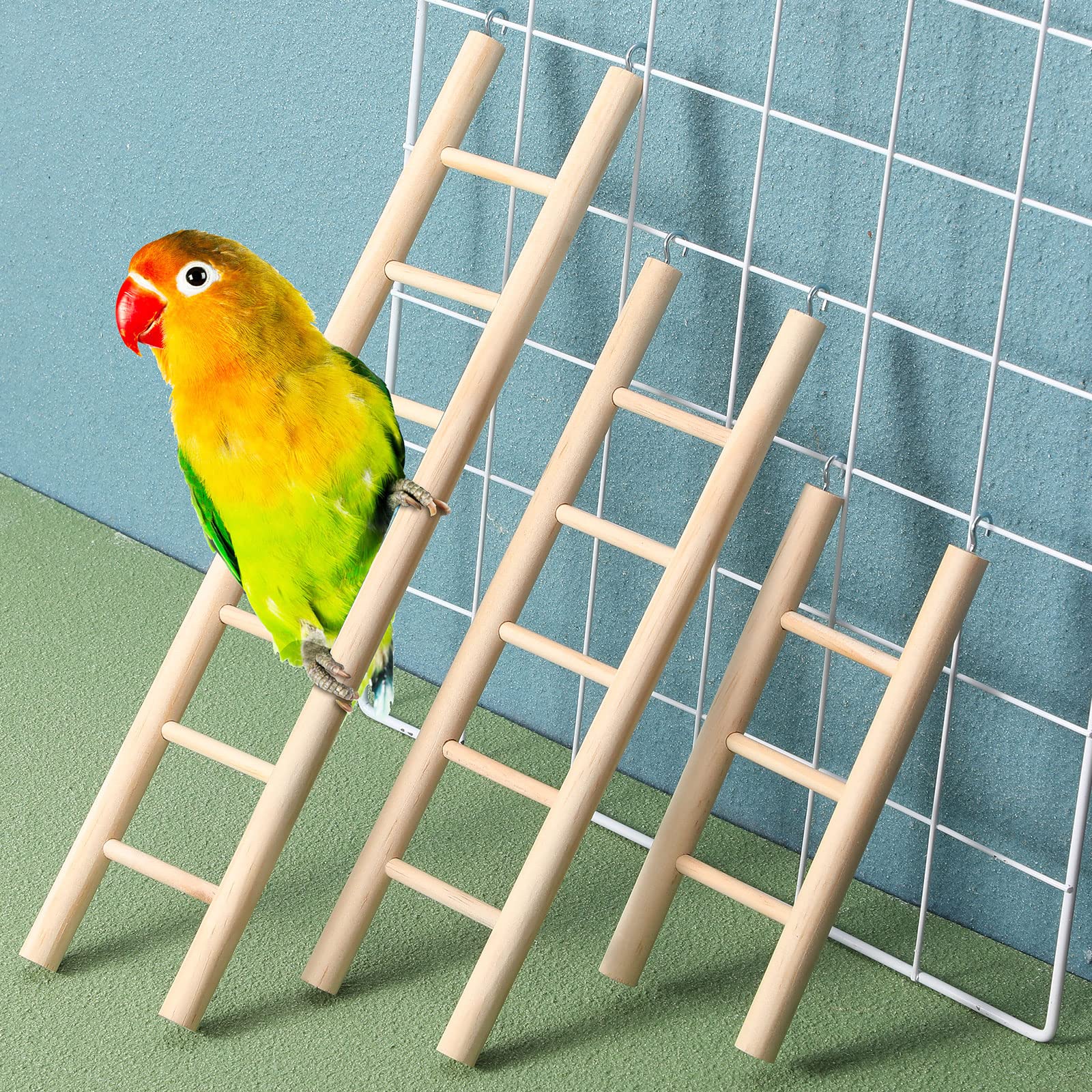 Kigeli parrot ladder offers versatile climbing fun for small birds.