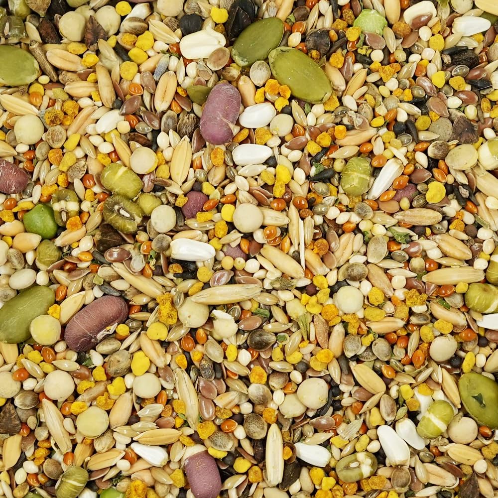 KikiBirds Feather Shine bee-pollen-detail captures natural nutrition on display.