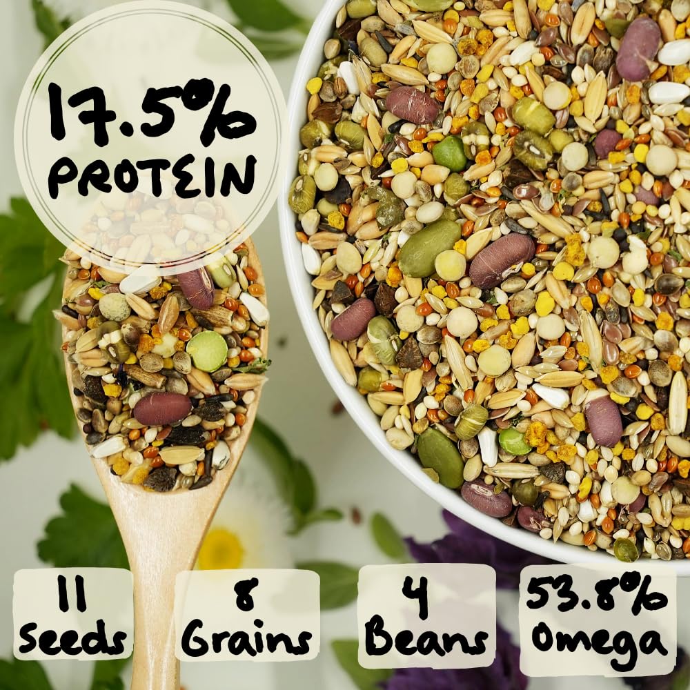 KikiBirds Feather Shine scoop conveys precise feeding in a protein-rich parrot formula.