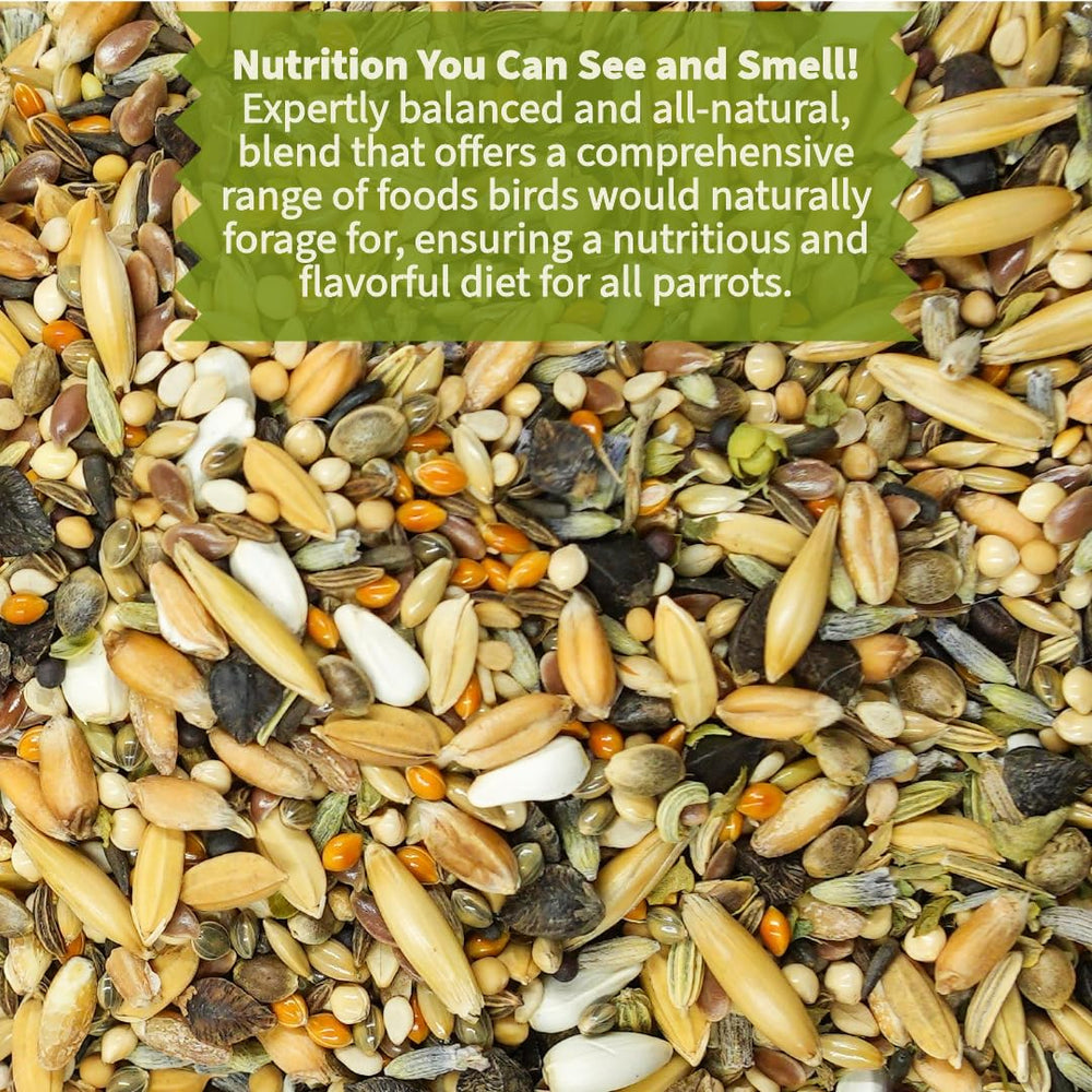 KikiBirds Premium Parrot Food close-up grains reveals wholesome whole grains and seeds