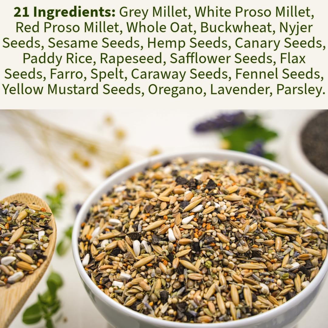 KikiBirds Premium Parrot Food serving-dish displays seeds and grains ideal for daily meals