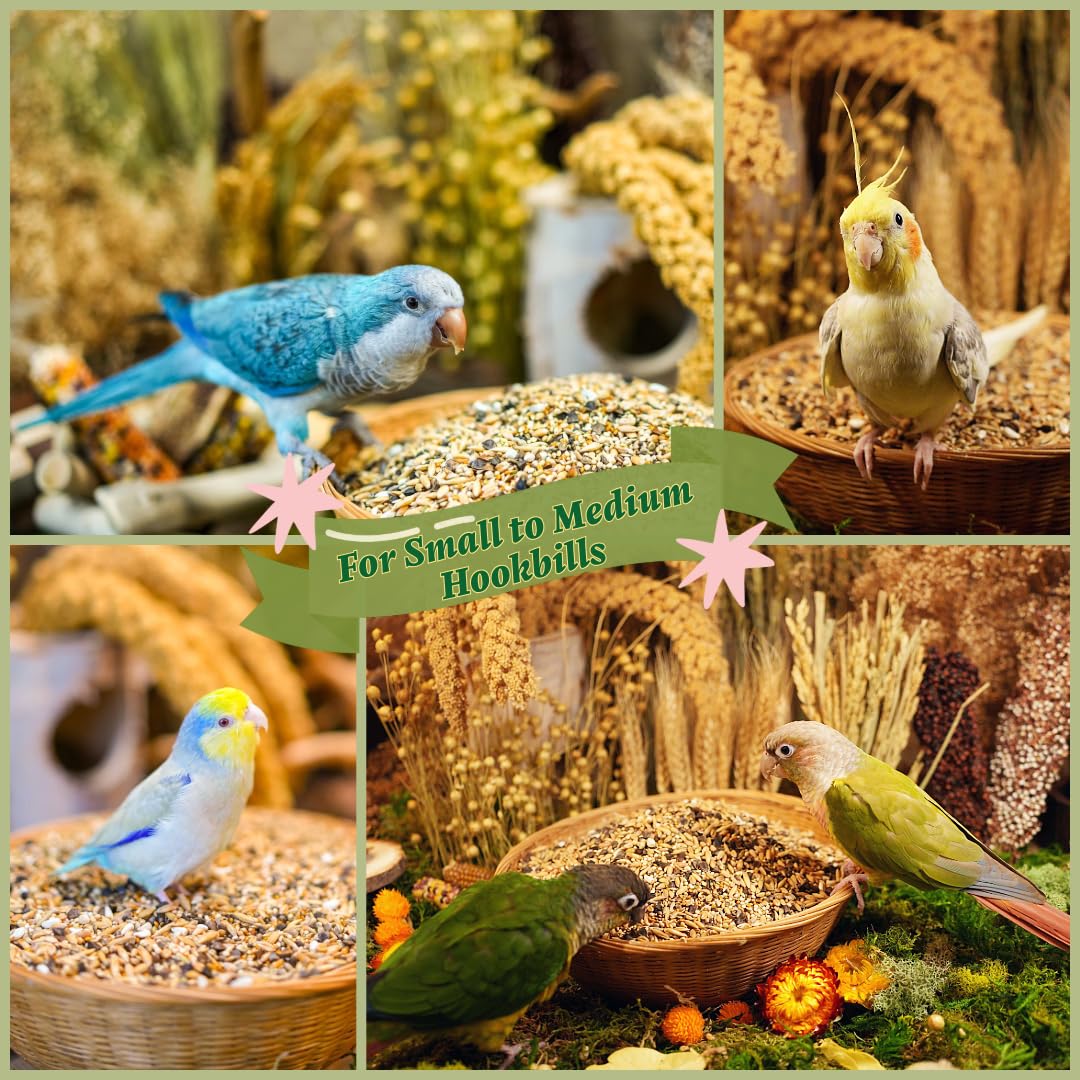 KikiBirds Premium Parrot Food washington-state on packaging emphasizes local production