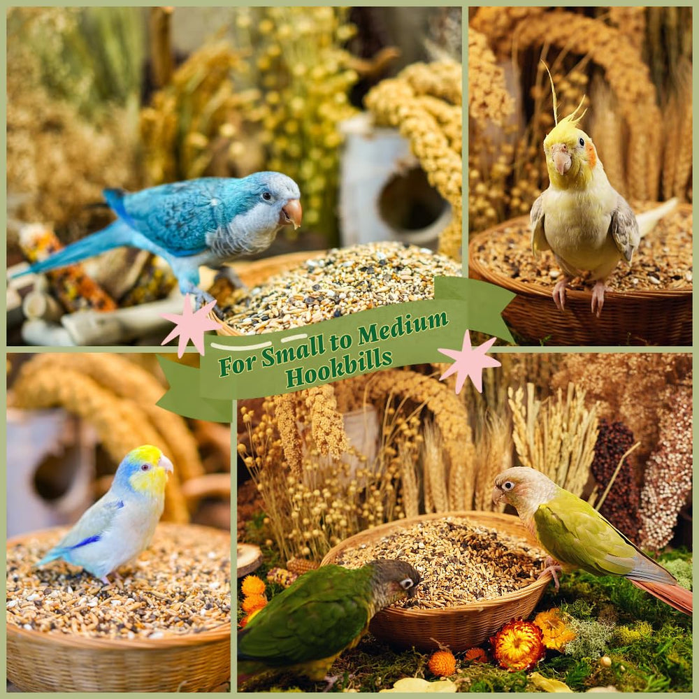 KikiBirds Premium Parrot Food washington-state on packaging emphasizes local production