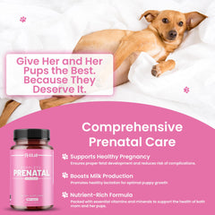 Kilab prenatal tablets used for nursing dogs' ongoing wellness.