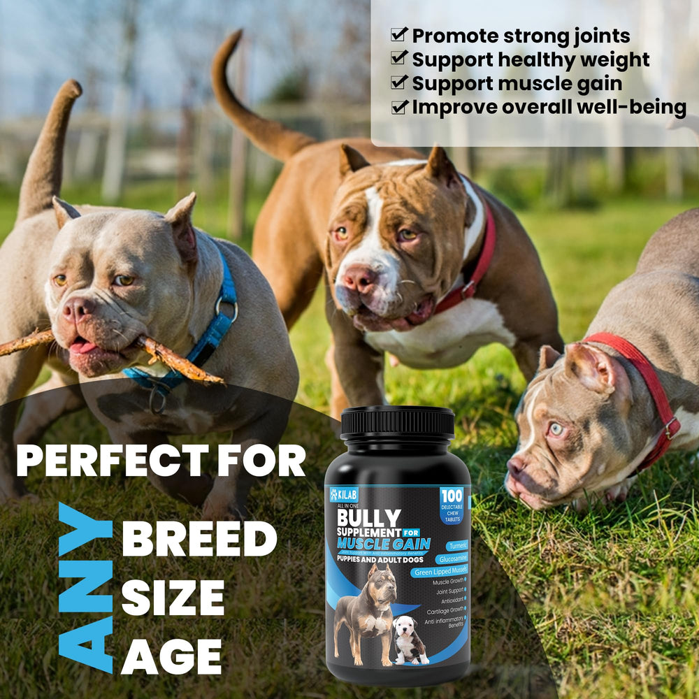 Kilab Dog Weight Gainer turmeric-glucosamine-balance highlights nourishing ingredients for comfort.