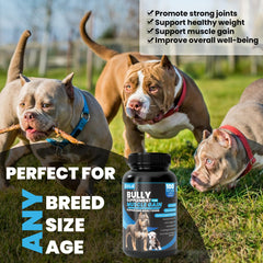 Kilab Dog Weight Gainer turmeric-glucosamine-balance highlights nourishing ingredients for comfort.