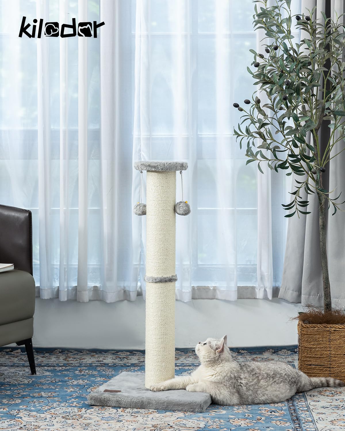 Kilodor large 4.3-inch sisal surface ideal for satisfying scratching instinct.