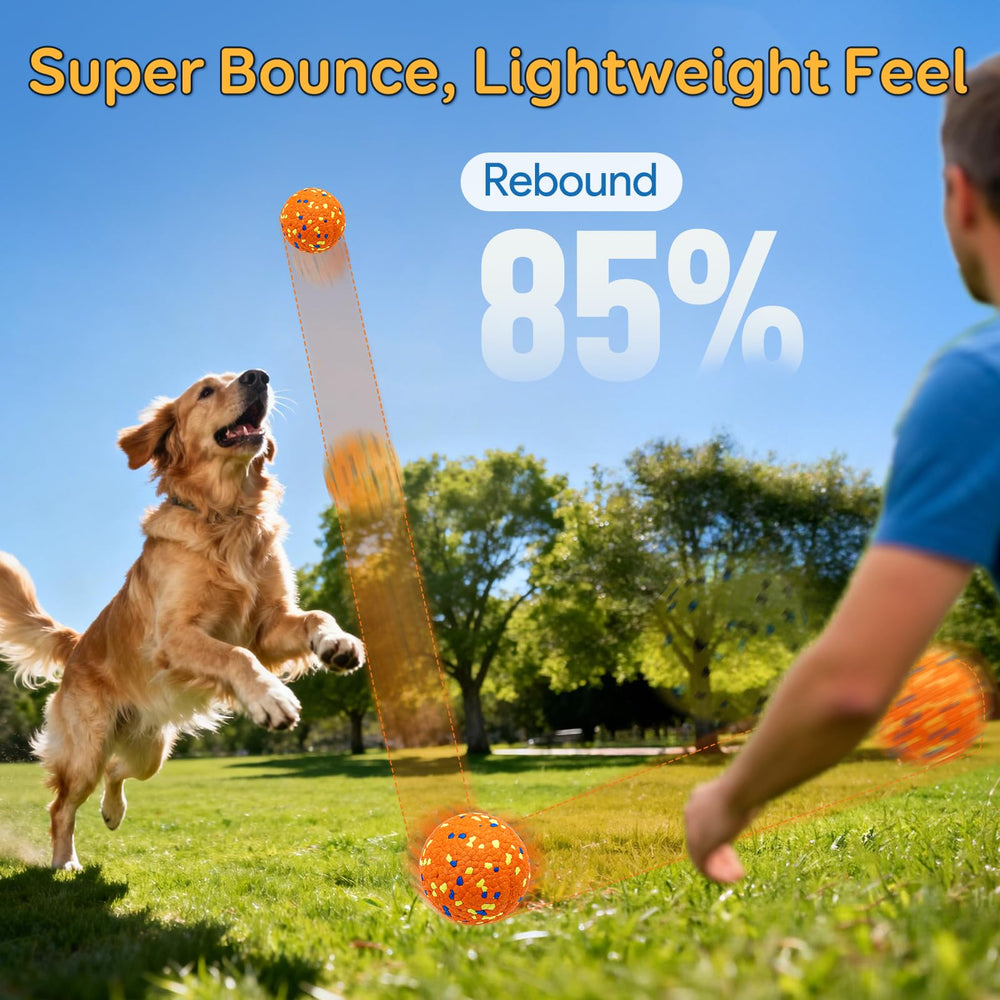 Kimee dog balls fetch scene to showcase high visibility.