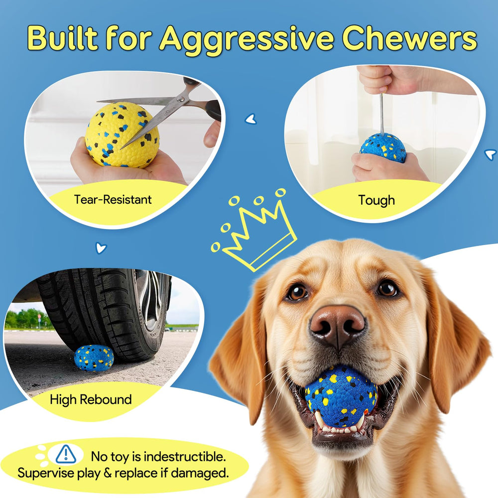 Kimee four-pack ready for dogs of all sizes